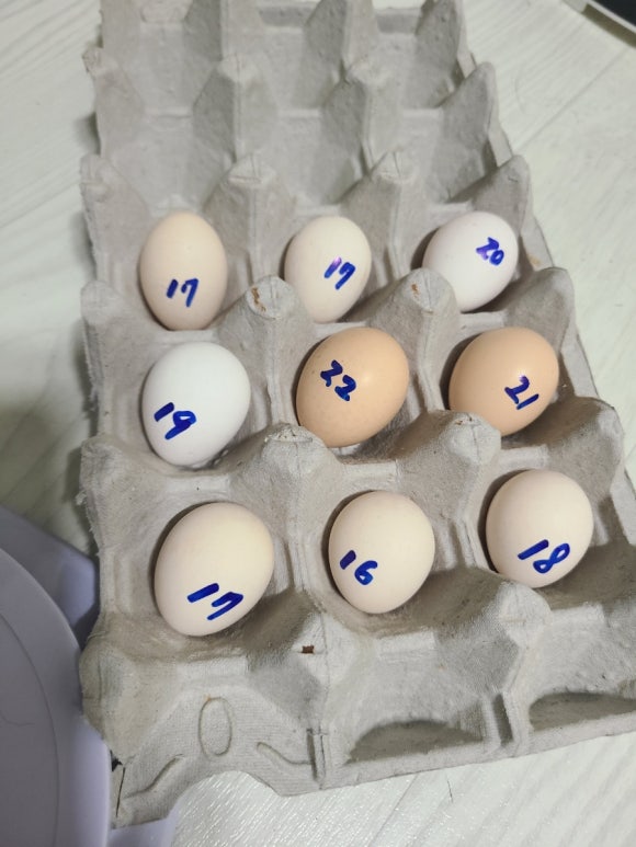 22그램 이미지