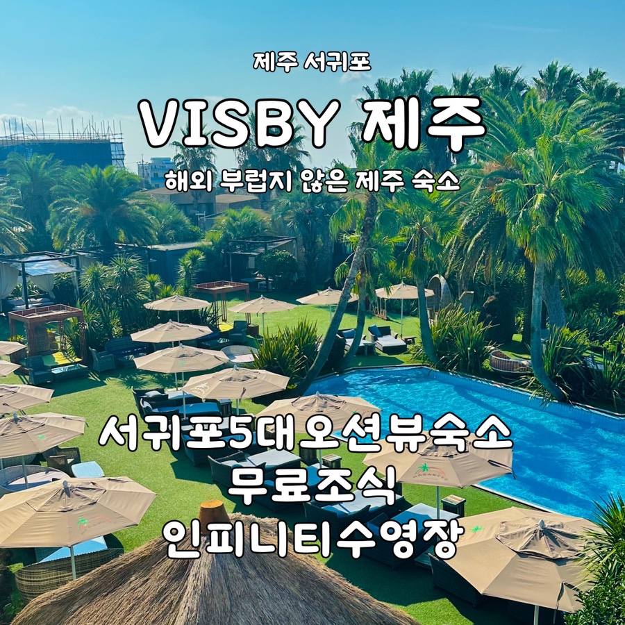 비스비전 이미지