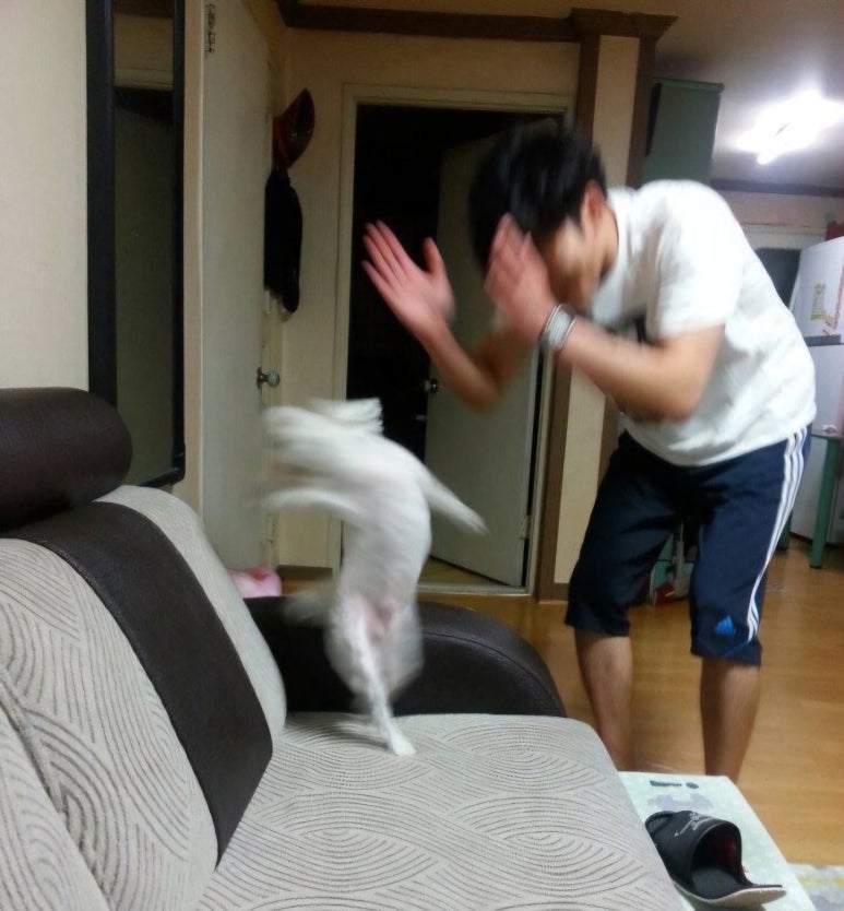 나스(NA'S) 이미지