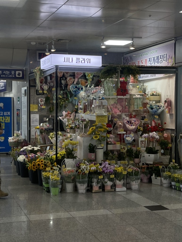 시나플라워 이미지