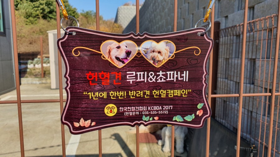 제주메모리 이미지