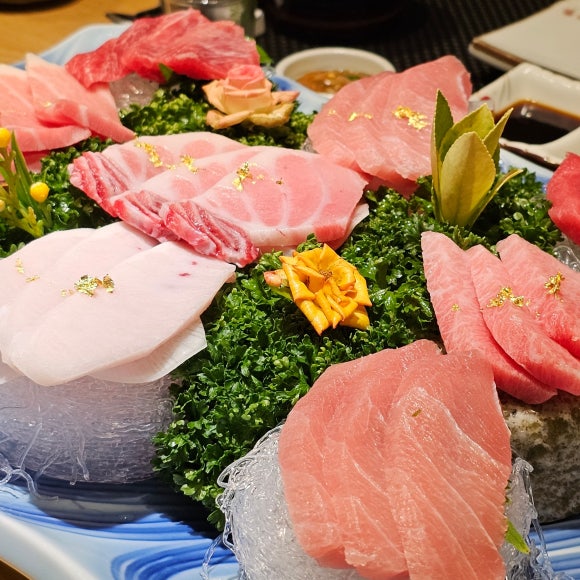 와참치 이미지