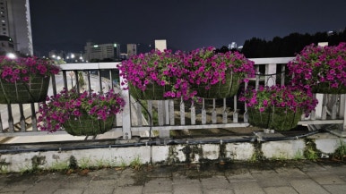 칠성종합장식 이미지