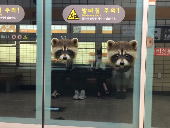 동양카인테리어 이미지