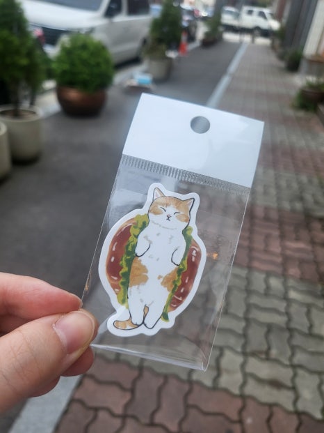 애니멀공화국 이미지