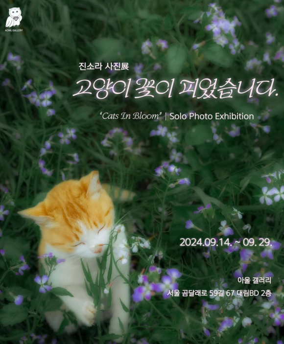 아울갤러리 이미지