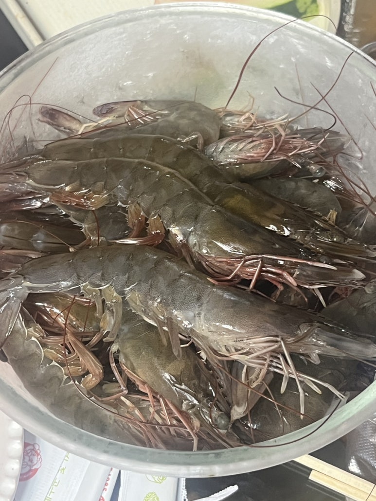 건우수산 이미지