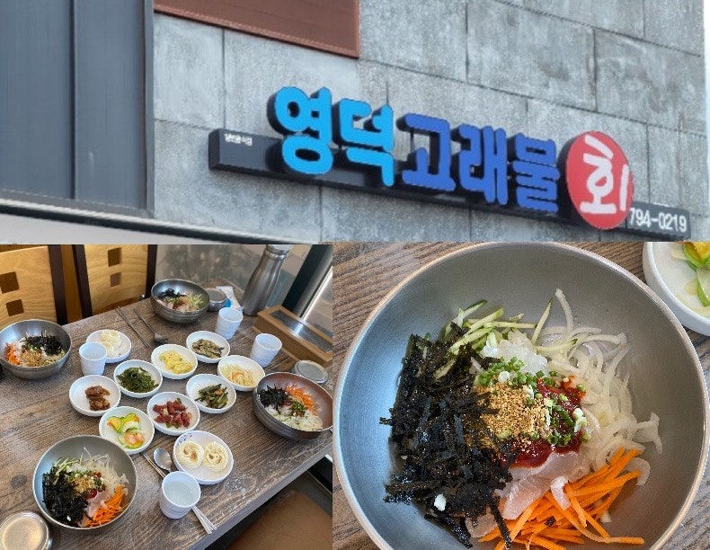영덕고래불회 이미지