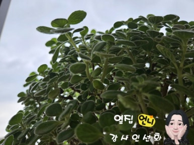 허브헤어미용실 이미지