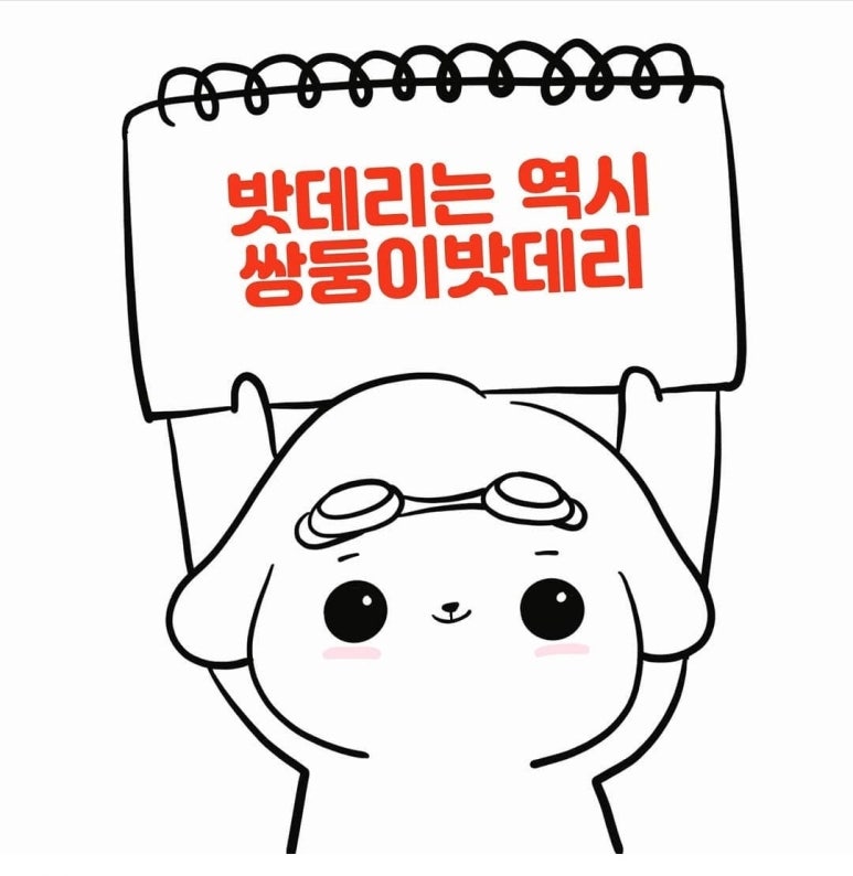 쌍둥이밧데리울산점 이미지