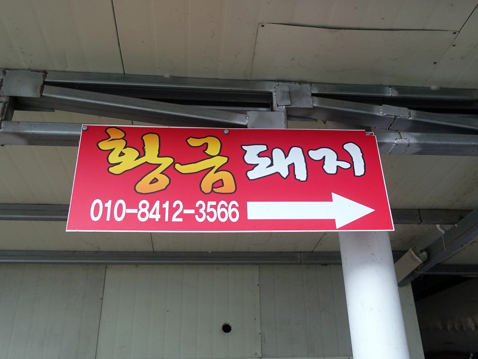 황금 돼지 포차 이미지