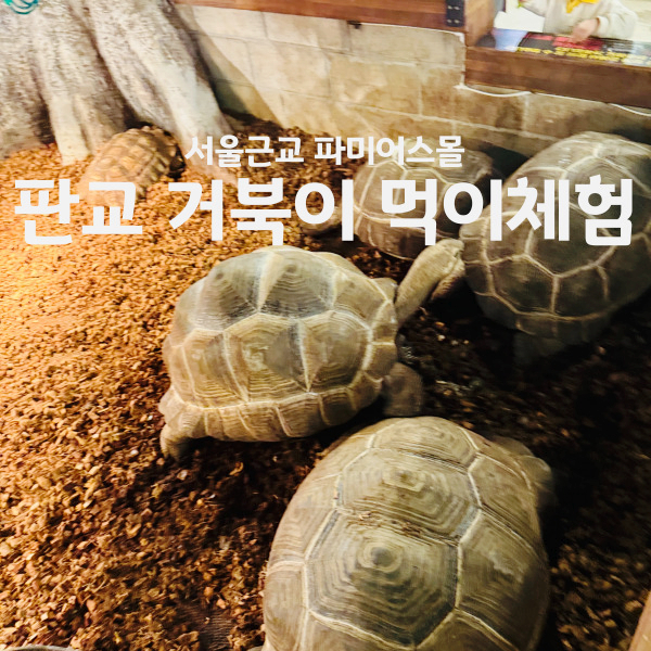 쿡앤카페 사진 3