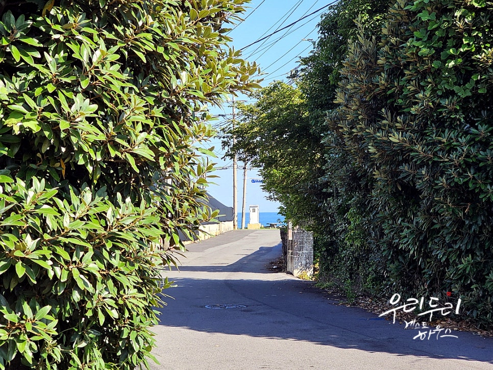 우리두리게스트하우스 이미지