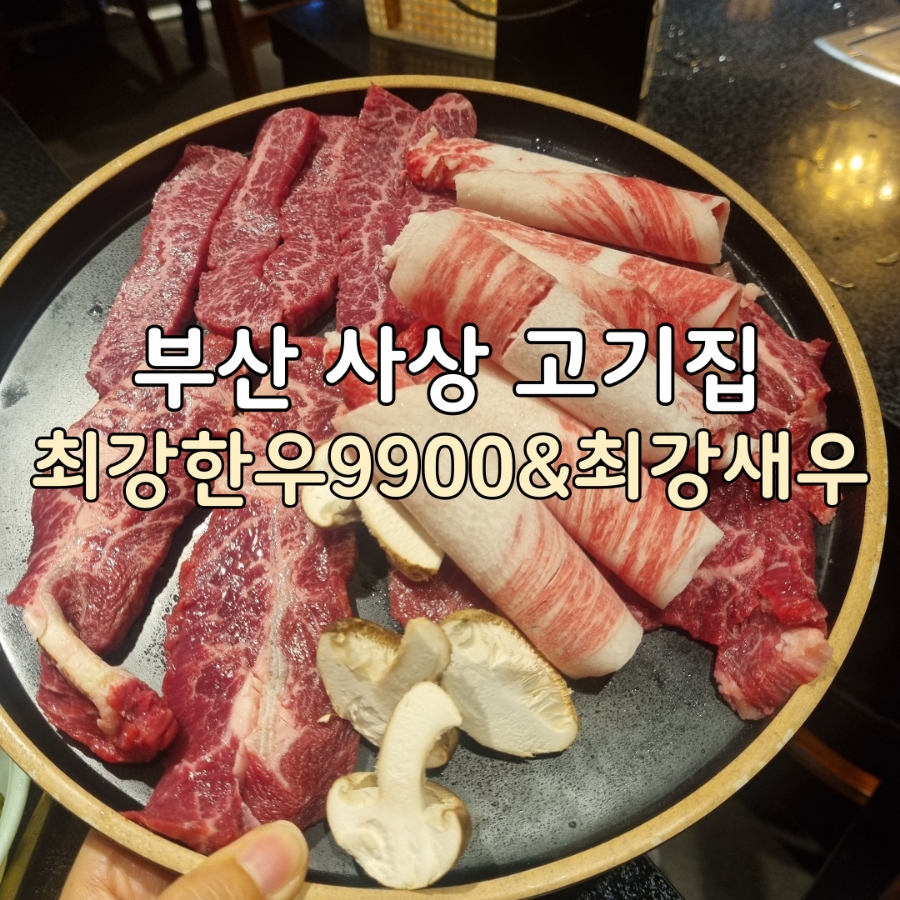 최강한우9900 이미지