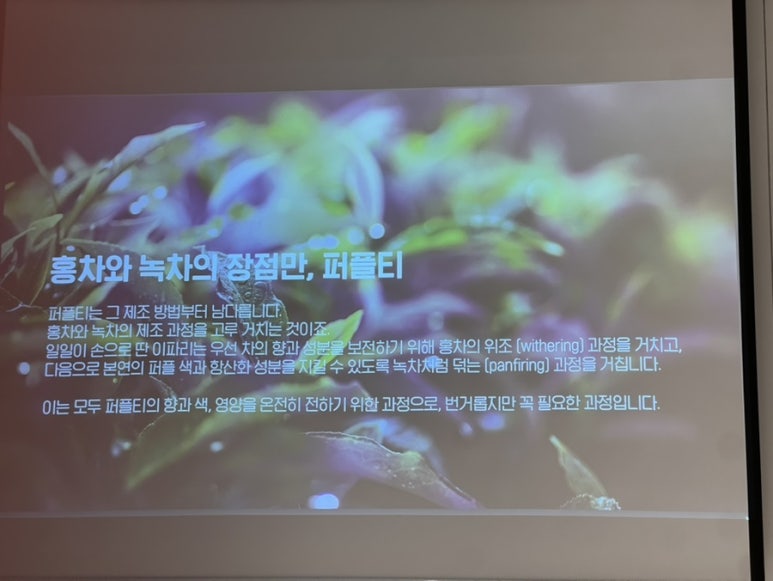 퍼플미학 이미지