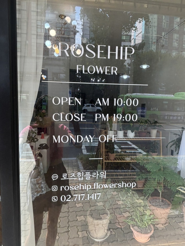 로즈힙플라워 이미지