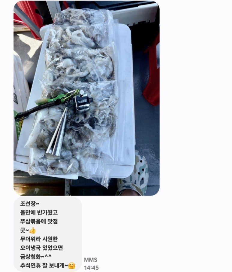 쭈신 이미지