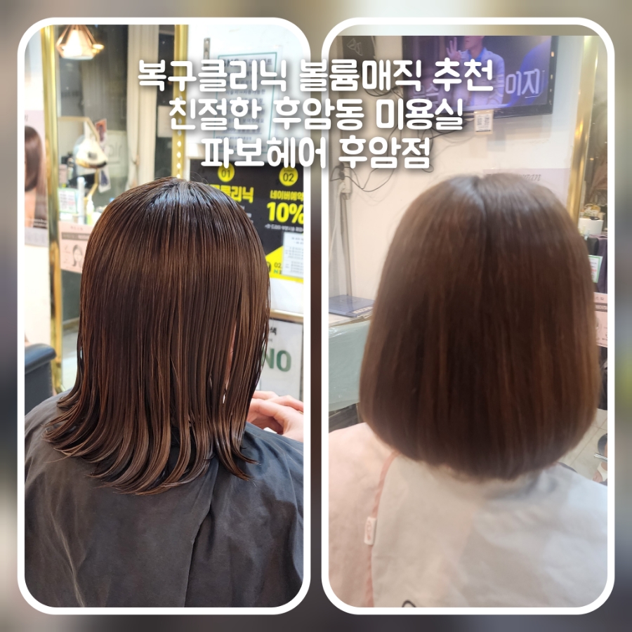 파보헤어 이미지