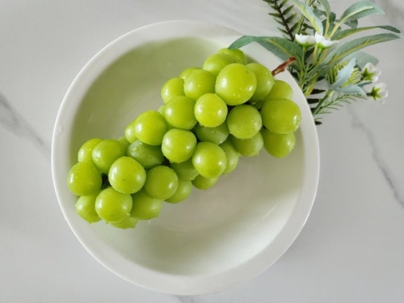 본집 이미지