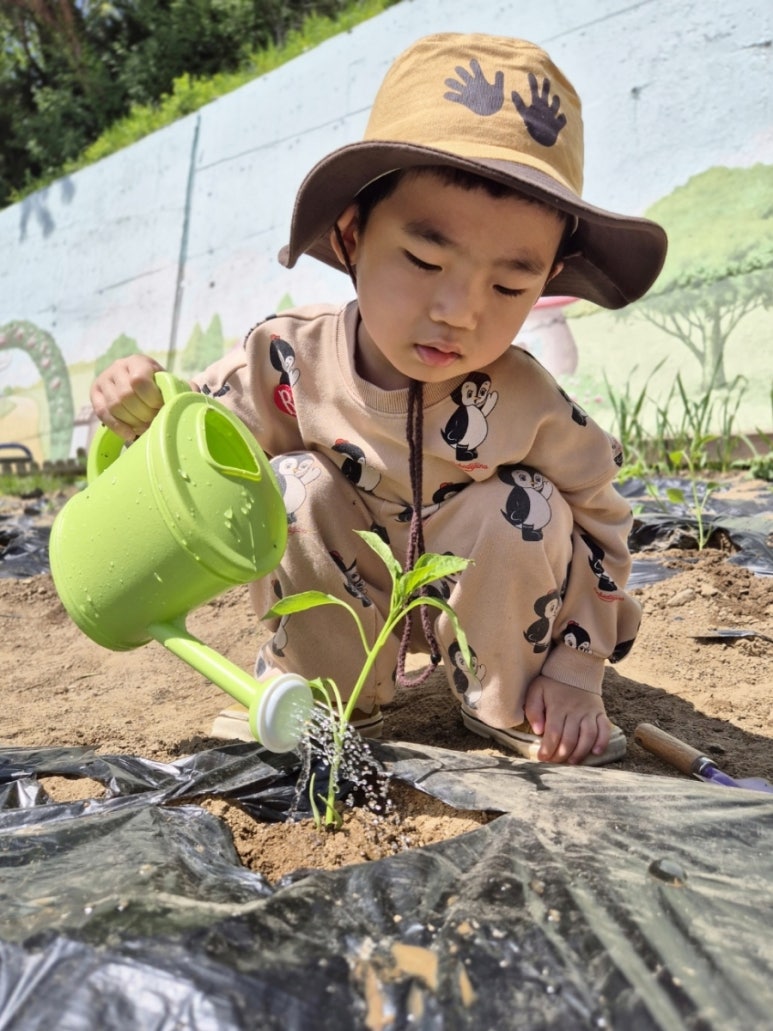 꽃무지풀무지유치원 이미지