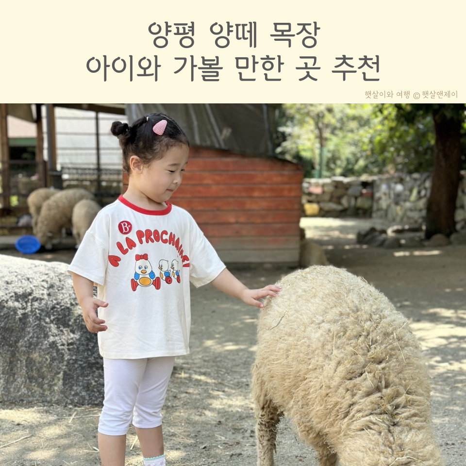 유모차방방 이미지