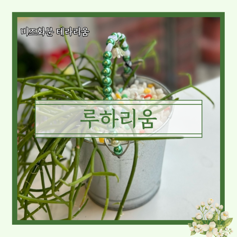 루하리움 이미지