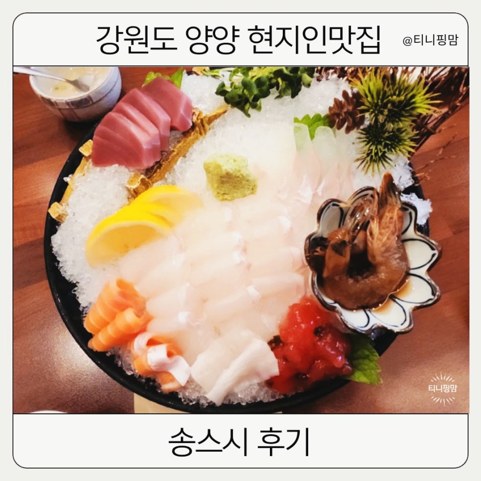 송스시 이미지