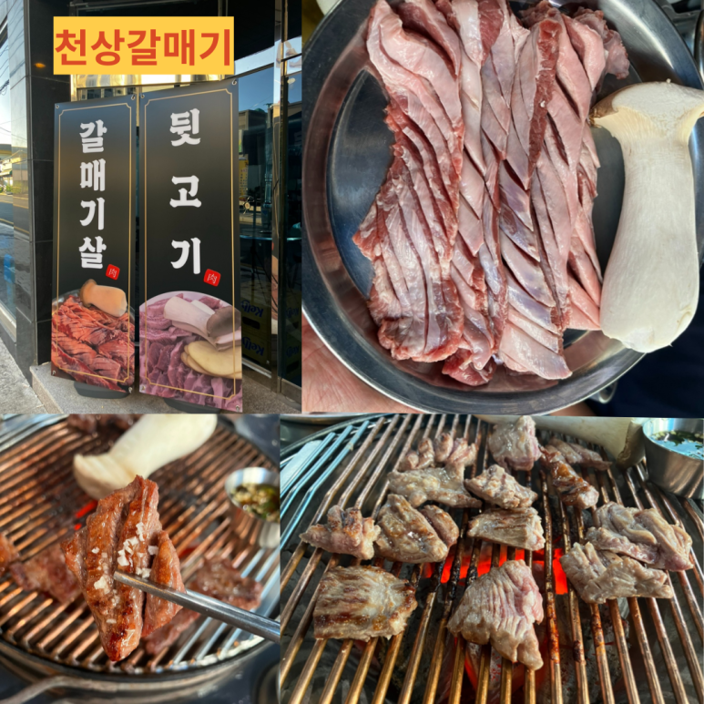 천상갈매기 이미지