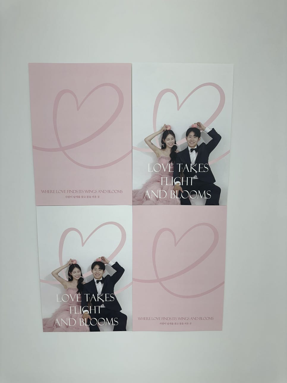 블루버드스튜디오 이미지
