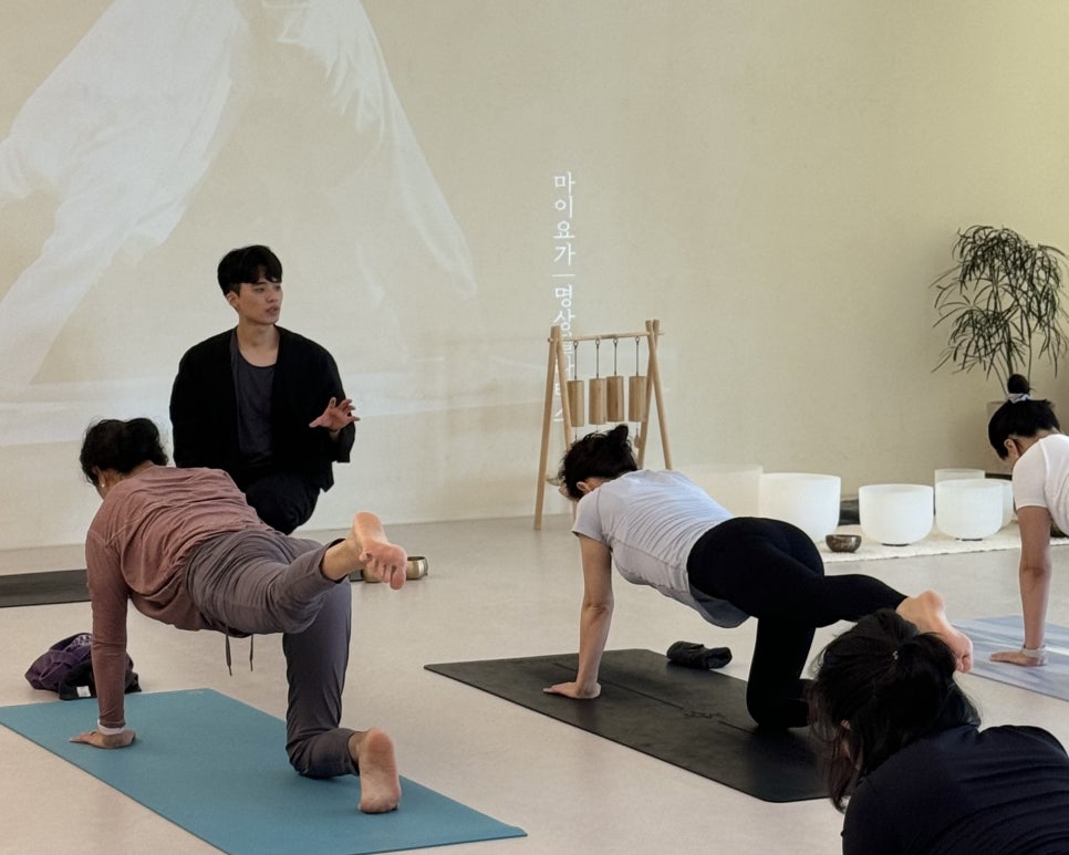 메딕사운드 이미지