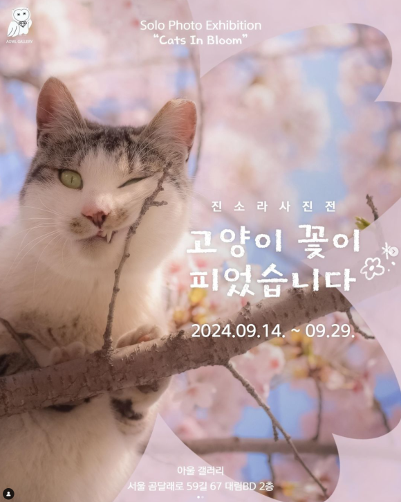 아울갤러리 이미지