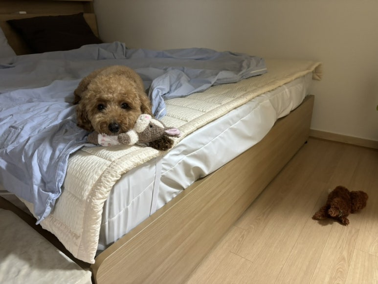 형우푸드 이미지