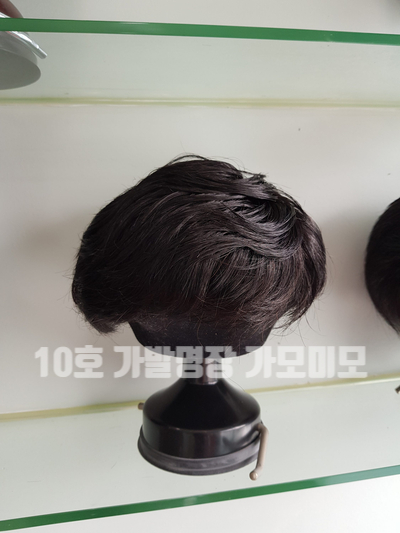 가모미모 이미지