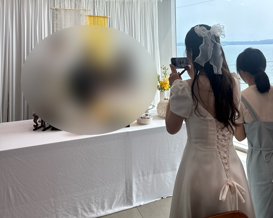 드레스진 이미지