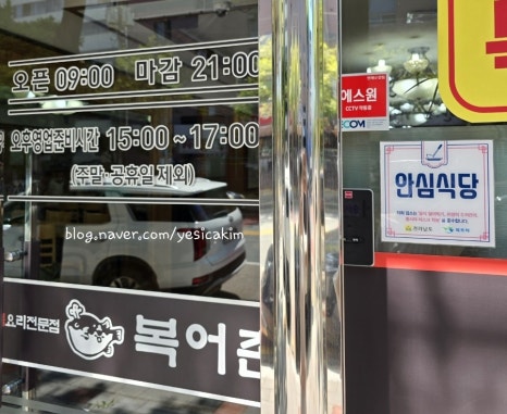 평화복어 이미지