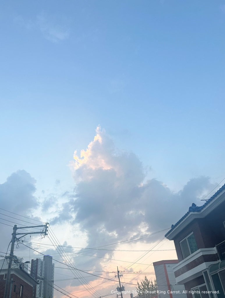 이향복손칼국수 이미지