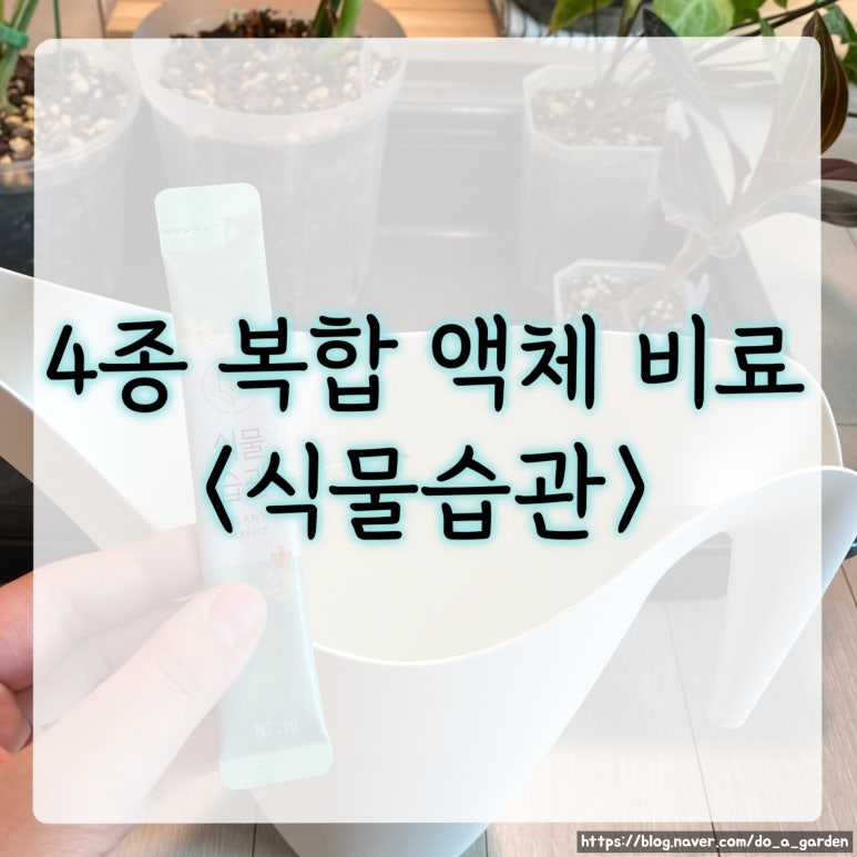 위즈코퍼레이션 이미지