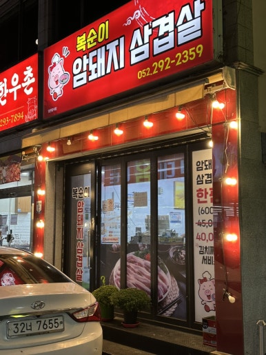 복순이암돼지 이미지