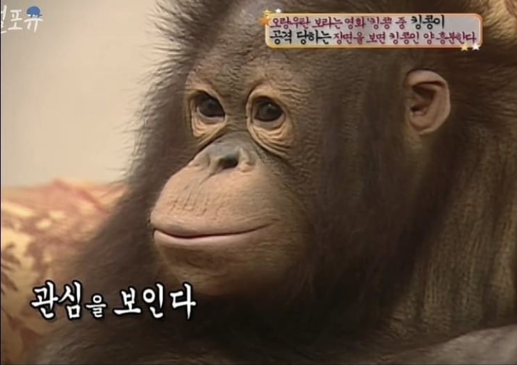 고등어식당 이미지