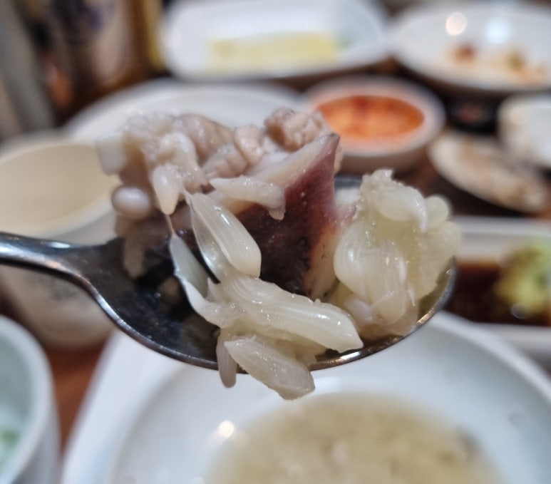 송가원빨간뻘낙지 이미지