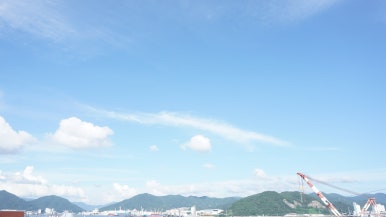 김인철동해장어막회 이미지