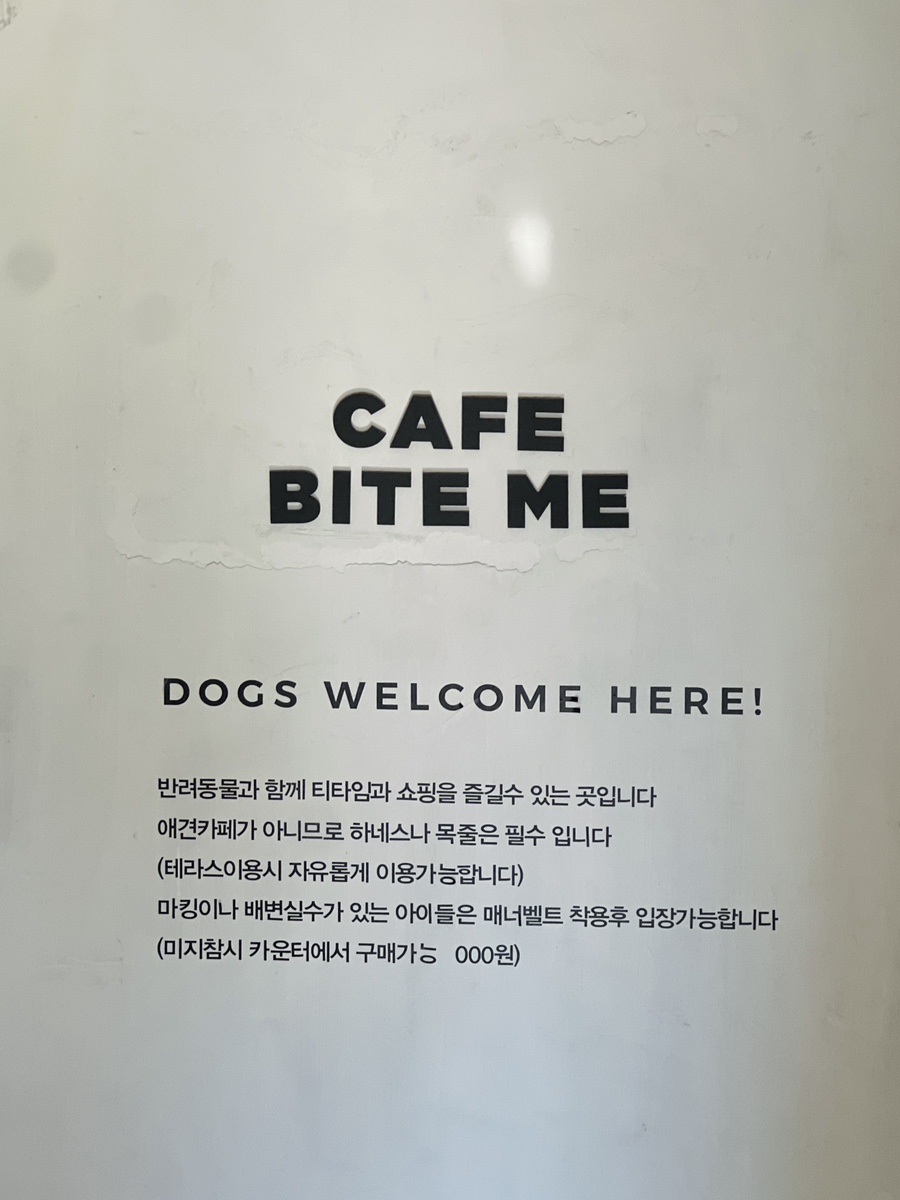 강남 애견동반 카페 바잇미 신사점 쇼핑 & 티타임 — 사진 4
