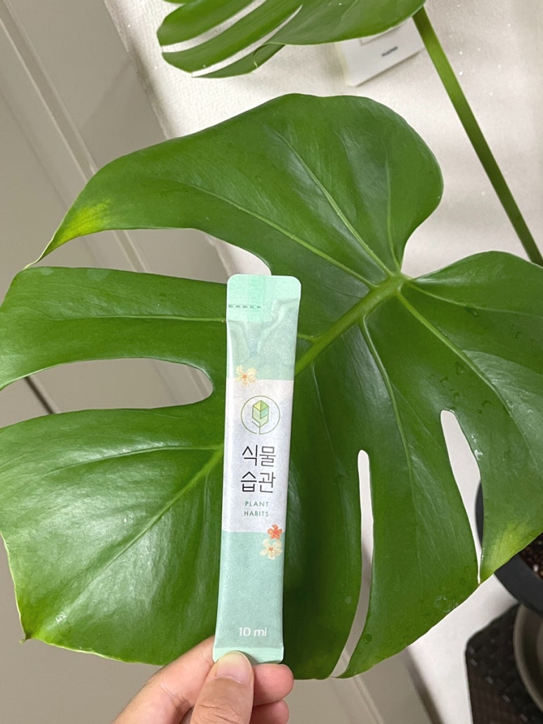 위즈코퍼레이션 이미지