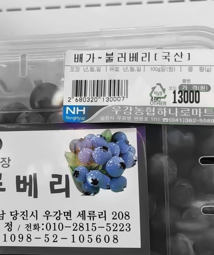 오비야 이미지