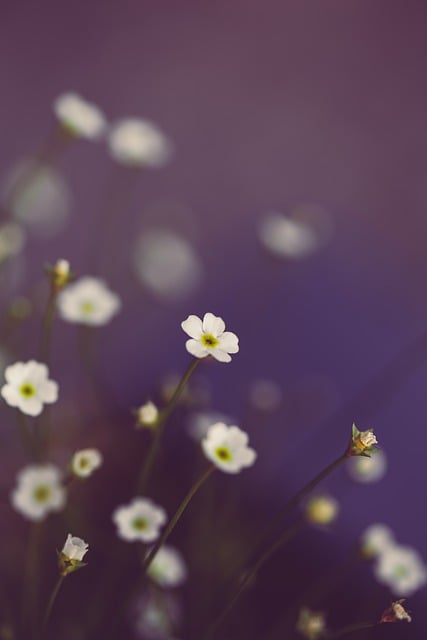 지리산정육식당 이미지