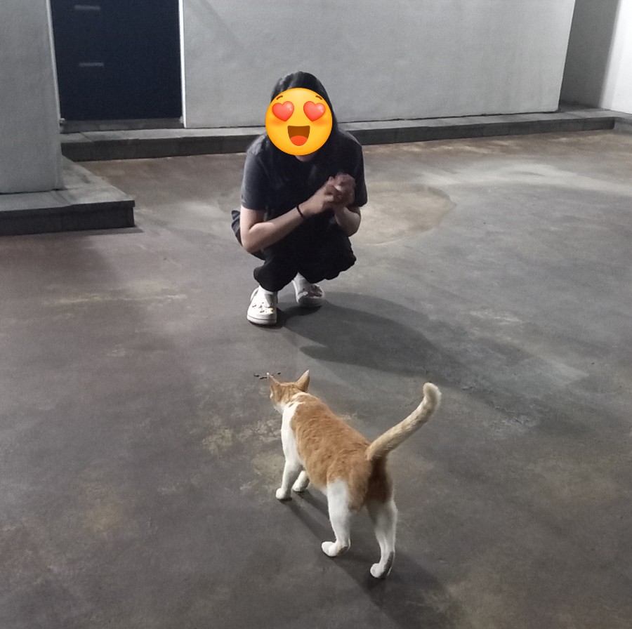 몬떼뷰스테이 이미지
