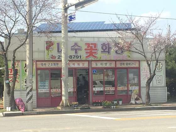 이디야커피충주 이미지