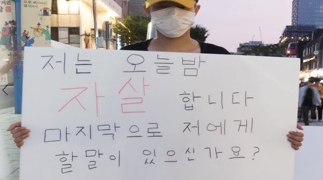 머스터드 이미지