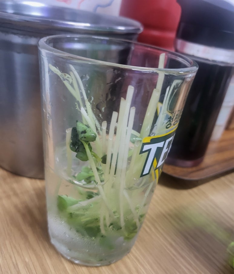 활어마당 이미지