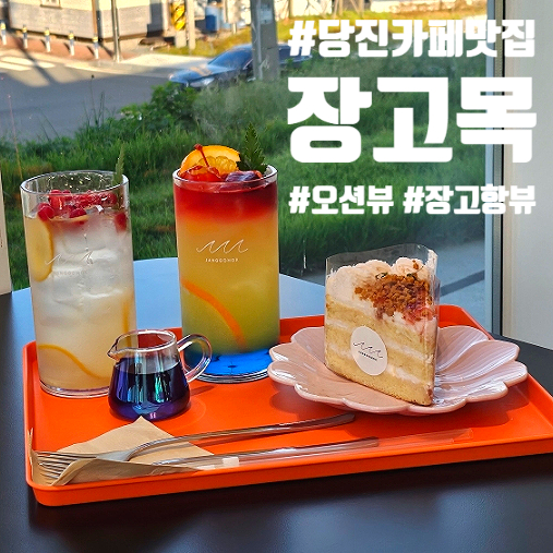 장고목 이미지